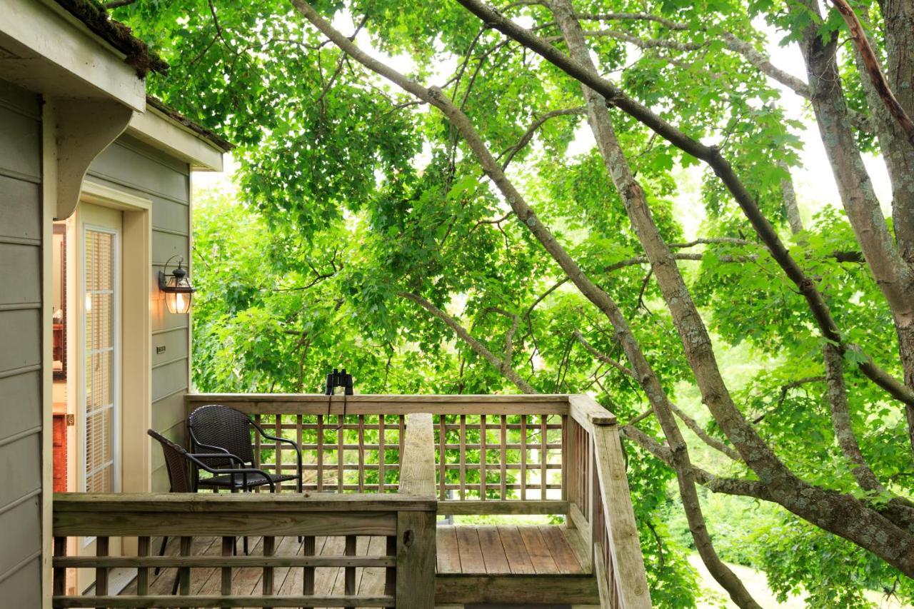 Inn And Cabins At Vaucluse Spring Stephens City Екстер'єр фото